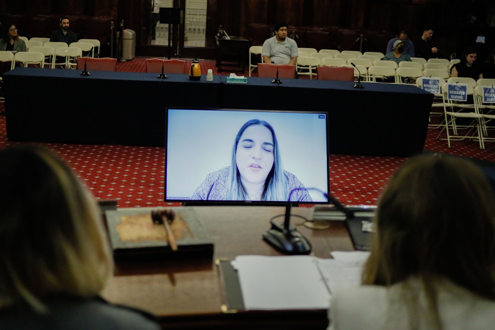 SpaceXAI's Gabriela Castillo Madrid testifies by video before the New York City Council